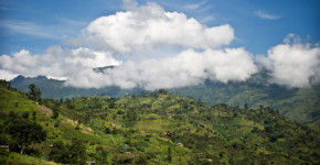 اوگاندا سلطان قهوه چشم بهراه باران روستای لوکونزو (Lukonzo) در قلب کوهستان روونزوری در اوگاندا پوشیده از مزارع قهوه. عکس: سون ترفین