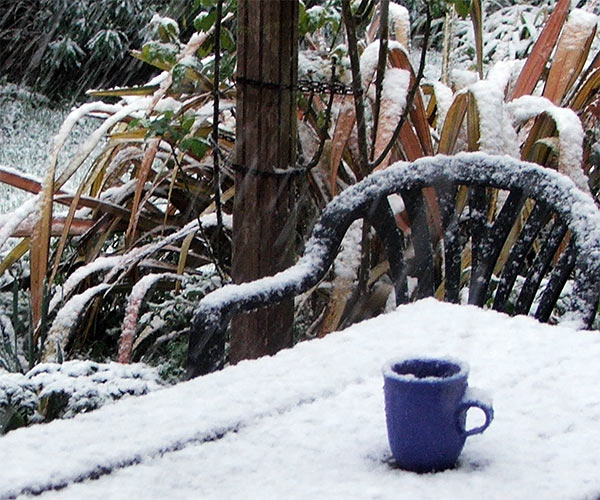 http://icoff.ee/fa/wp-content/uploads/2012/01/snow-blue-cup.jpeg