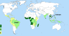 سهم قهوه در بازار تجارت جهانی – بخش دوم Coffee World Map 2