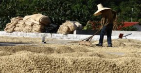 قهوه دومین کالای پرفروش در جهان نیست! قهوه دومین کالای جهانی نیست