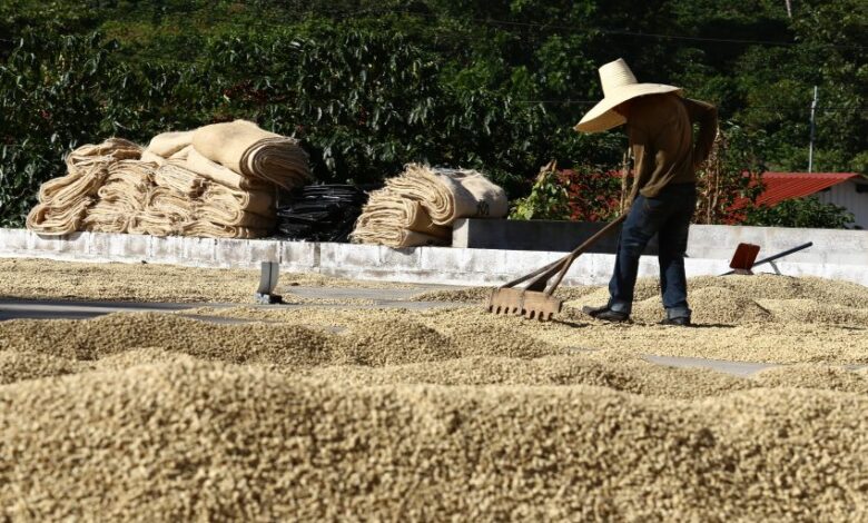 قهوه دومین کالای جهانی نیست