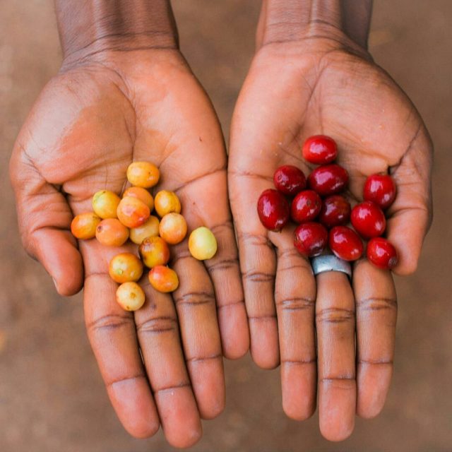 قهوه بوروندی