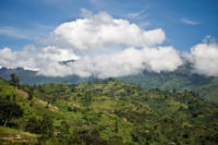 روستای لوکونزو (Lukonzo) در قلب کوهستان روونزوری در اوگاندا پوشیده از مزارع قهوه. عکس: سون ترفین