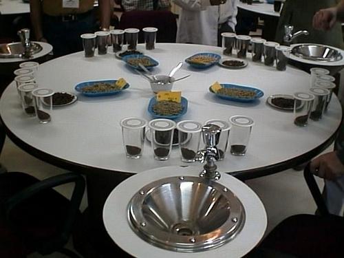 Coffee Cupping Table ~ میز کافی کاپینگ