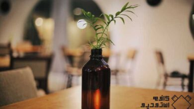 کافه استودیو اکسپو