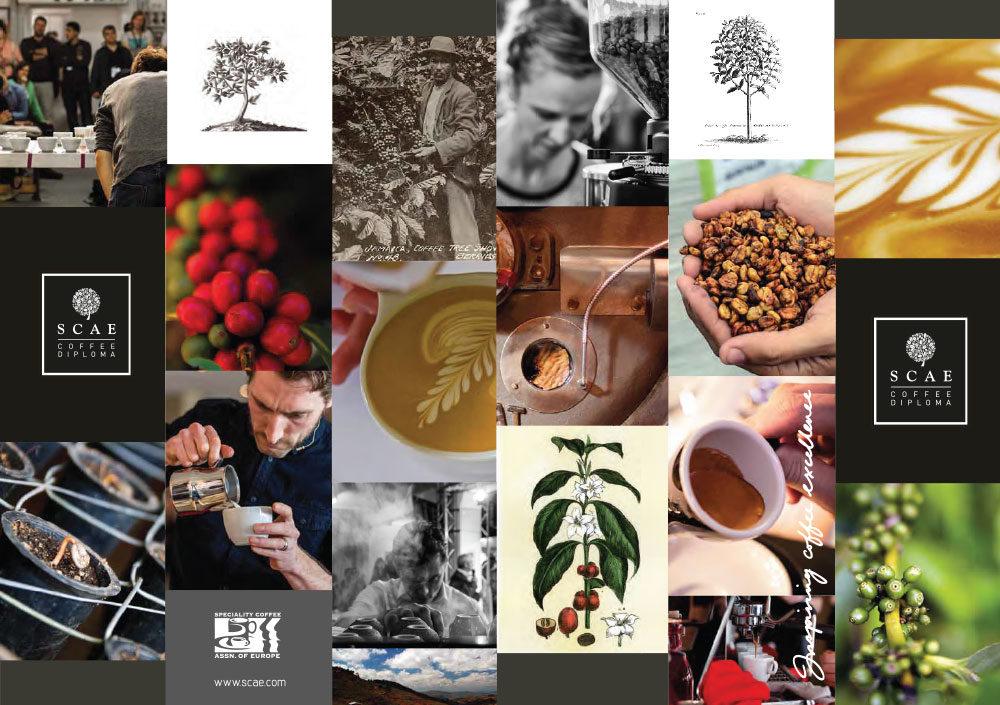 SCAE-Brochure-S-1 انجمن تخصصی قهوه اروپا