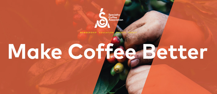 انجمن قهوه تخصصی قهوه ایران