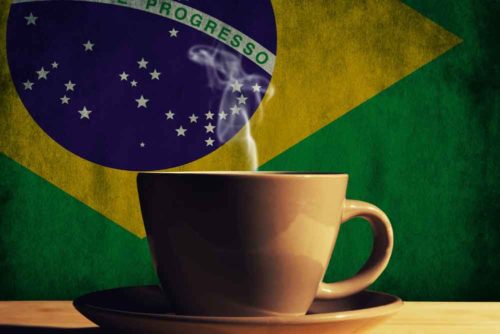 قهوه برزیل قهوه تخصصی