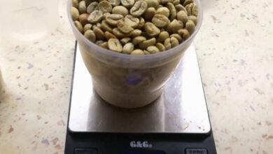 چگالی قهوه سبز